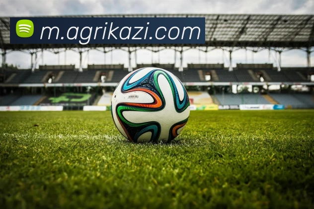 App Interface Preview